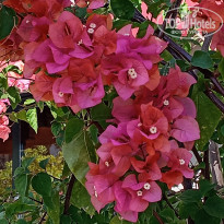 фото из отзыва ID 2712263