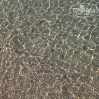 фото из отзыва ID 2712321