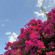 фото из отзыва ID 2712343