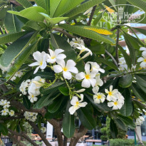 фото из отзыва ID 2712421