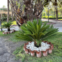 фото из отзыва ID 2712468