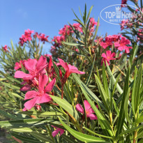 фото из отзыва ID 2712468