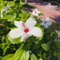 фото из отзыва ID 2712560