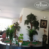 фото из отзыва ID 2712593