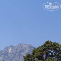 фото из отзыва ID 2712593