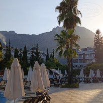 фото из отзыва ID 2712593