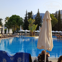 фото из отзыва ID 2712593