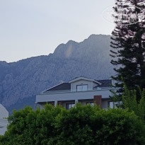 фото из отзыва ID 2712593