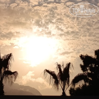 фото из отзыва ID 2712593