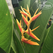 фото из отзыва ID 2712615