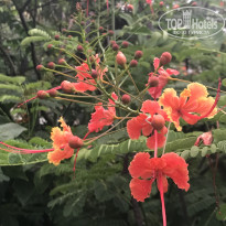 фото из отзыва ID 2712615