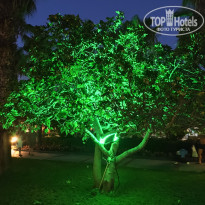 фото из отзыва ID 2712636