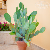 фото из отзыва ID 2712807