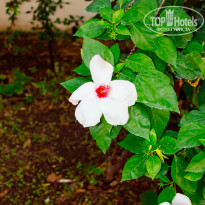 фото из отзыва ID 2712807
