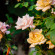 фото из отзыва ID 2712807