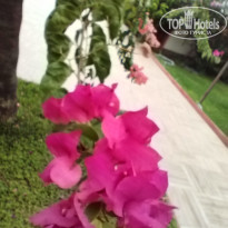 фото из отзыва ID 2713020