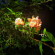 фото из отзыва ID 2713331