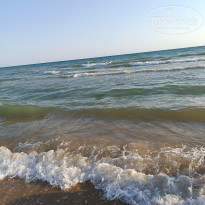 фото из отзыва ID 2713372