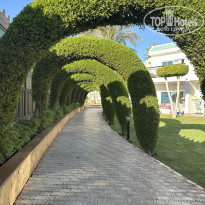 фото из отзыва ID 2713380