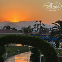 фото из отзыва ID 2713382