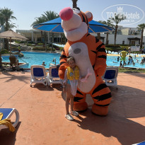 фото из отзыва ID 2713382