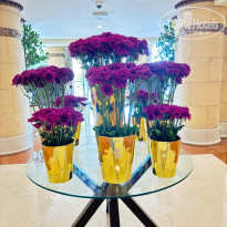 фото из отзыва ID 2713684