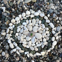 фото из отзыва ID 2713630