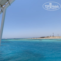 фото из отзыва ID 2713756