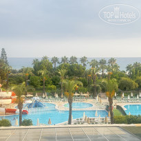 фото из отзыва ID 2713784