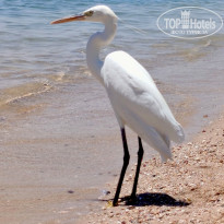 фото из отзыва ID 2713789
