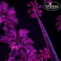 фото из отзыва ID 2713821