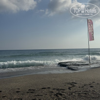 фото из отзыва ID 2713879