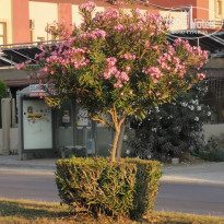 фото из отзыва ID 2713903