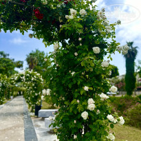 фото из отзыва ID 2713980