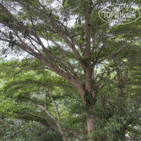 фото из отзыва ID 2714016