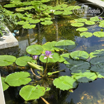 фото из отзыва ID 2714016