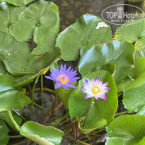 фото из отзыва ID 2714016