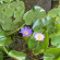 фото из отзыва ID 2714016