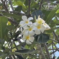 фото из отзыва ID 2714016