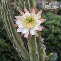 фото из отзыва ID 2714041