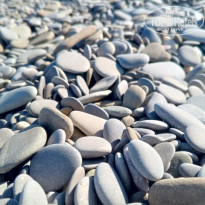 фото из отзыва ID 2714059