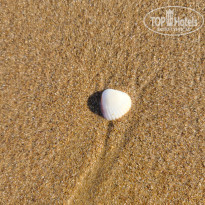 фото из отзыва ID 2714118