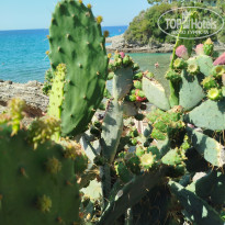 фото из отзыва ID 2714129