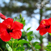 фото из отзыва ID 2713097