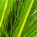 фото из отзыва ID 2714250