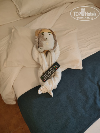 Protels Beach Club & SPA