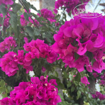 фото из отзыва ID 2714367