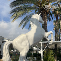 фото из отзыва ID 2714367