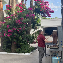 фото из отзыва ID 2714367