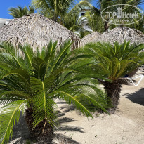 фото из отзыва ID 2714392